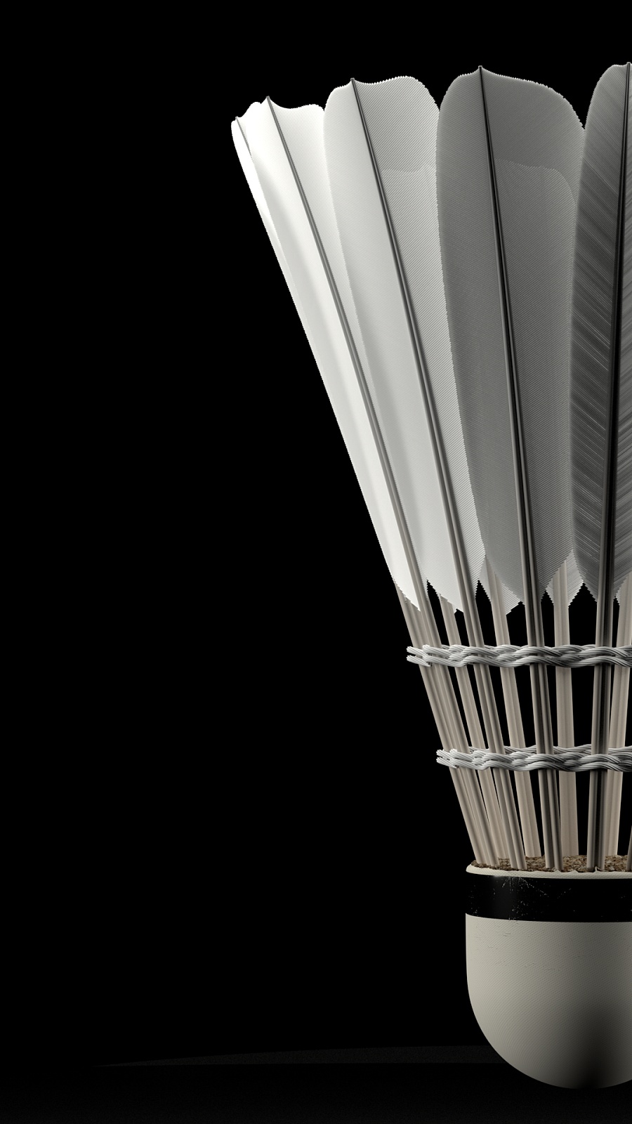 崭露头角 崭露头角